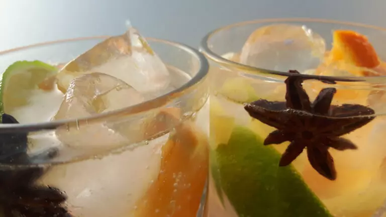 Gin- en Tonicproeverij