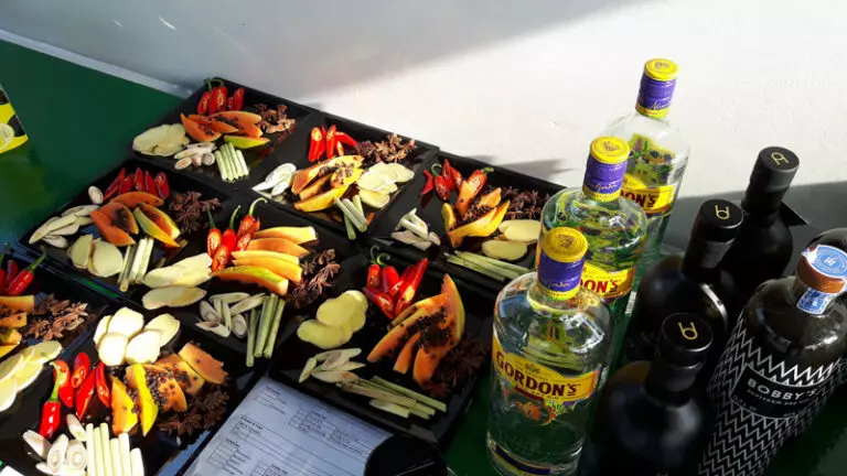 Gin- en Tonicproeverij