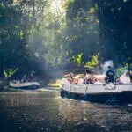 Thumbnail of http://img