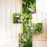 Thumbnail of http://img