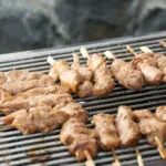 Thumbnail of http://BBQ%20boot,%20boottocht,%20varen