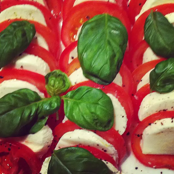 Culinaire Fietstocht met Diner