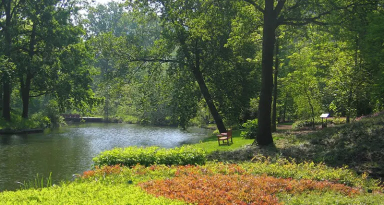 De Botanische Tuinen