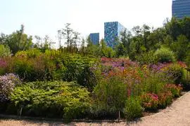 De Botanische Tuinen