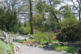 De Botanische Tuinen