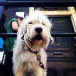 Thumbnail of http://img