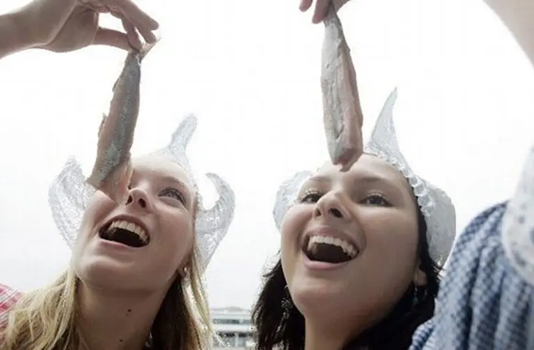 Gek op Holland Fietstocht