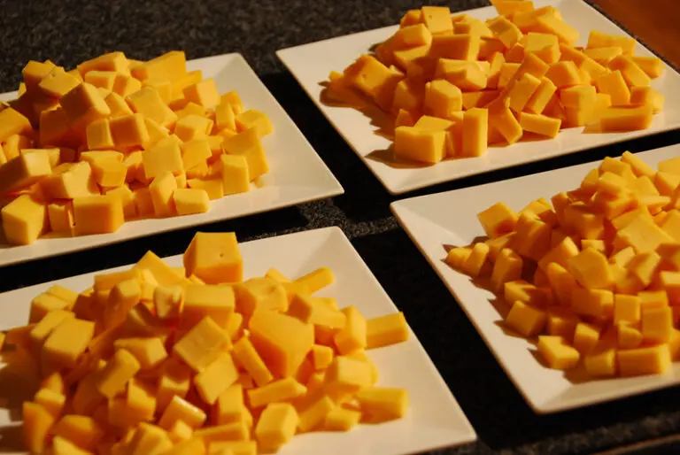 Gek op Holland Fietstocht