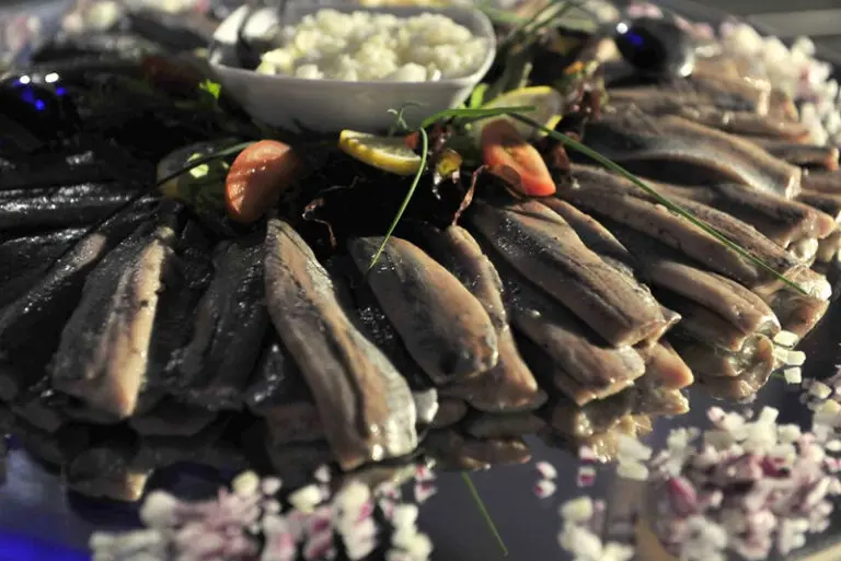 Gek op Holland Fietstocht