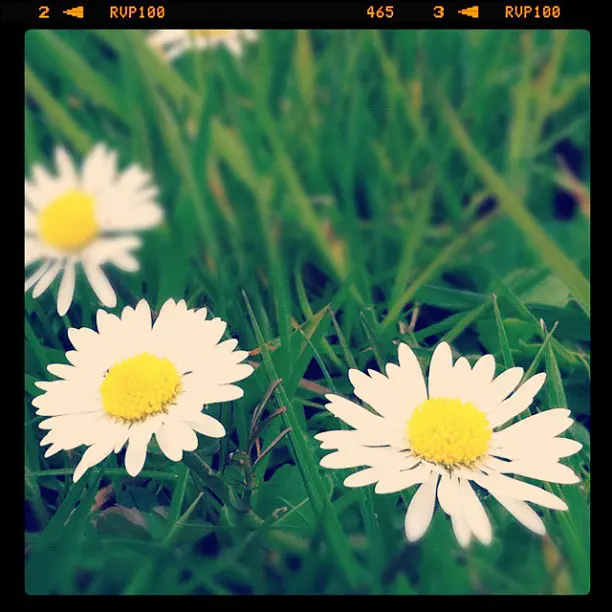 Instagramwalk
