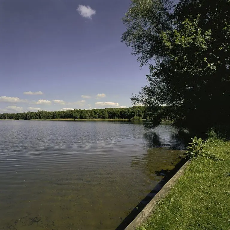 Maarsseveense Plassen