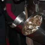 Thumbnail of http://img