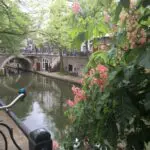 Thumbnail of http://img