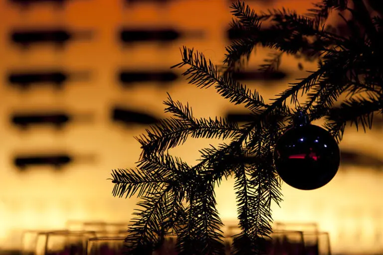 Kerst- en Nieuwjaarsfeest