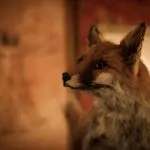 Thumbnail of http://Escaperoom%20Utrecht%20Mysterium