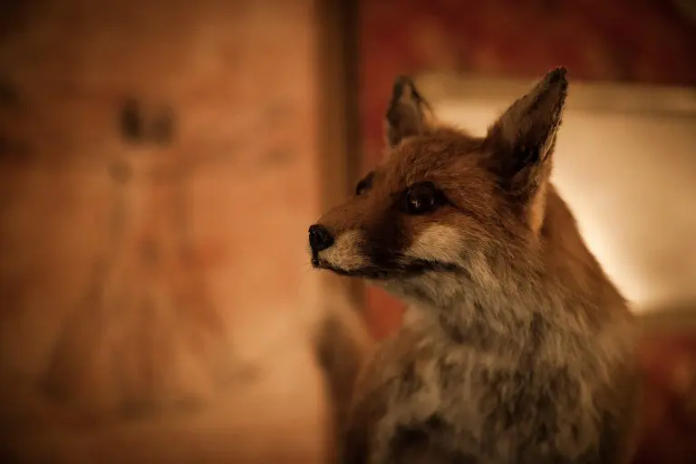 Escaperoom Mysterium