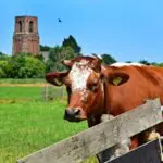 Thumbnail of http://img