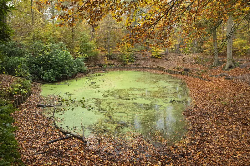 Nationaal natuurpark Utrechtse Heuvelrug, bezienswaardigheden, teambuilding, bedrijfsuitjes, Amersfoort, Puur* Utrecht