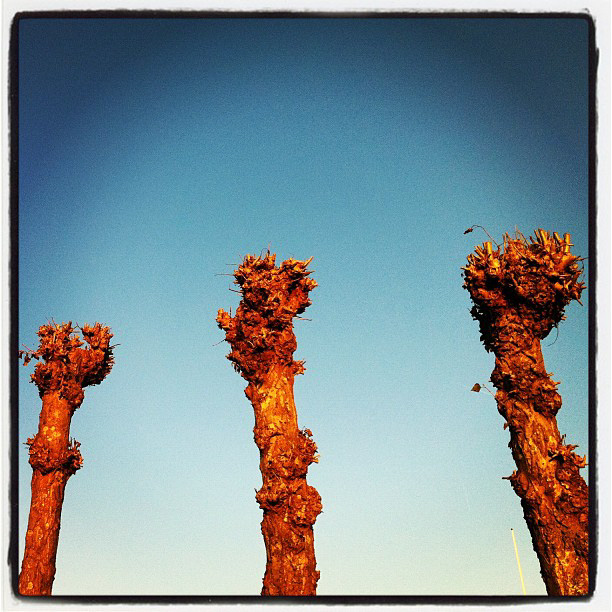 Instagramwalk